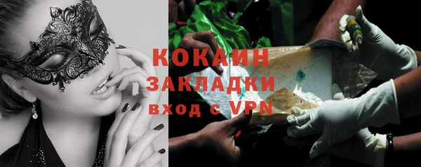 PSILOCYBIN Богородицк