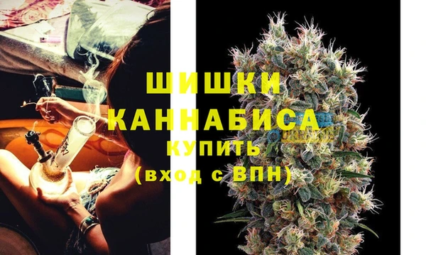 PSILOCYBIN Богородицк