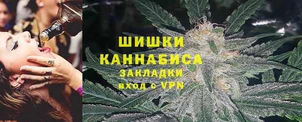 PSILOCYBIN Богородицк