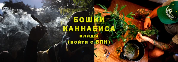 PSILOCYBIN Богородицк